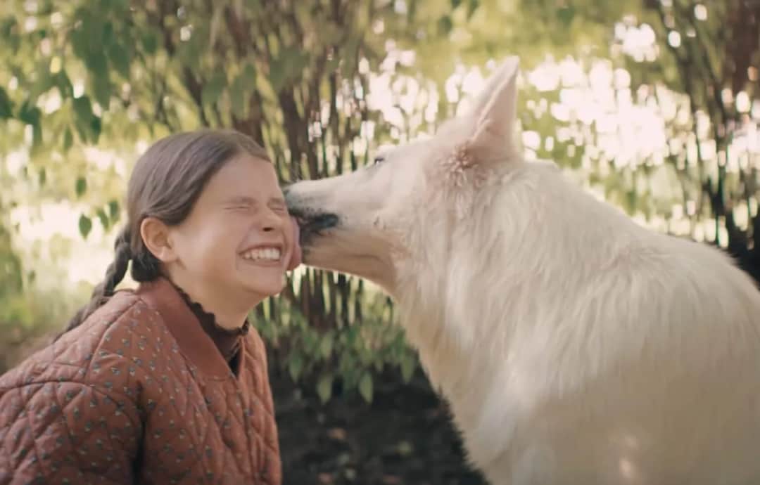 Film o psie który jeździł koleją dla dzieci – wzruszająca historia przyjaźni