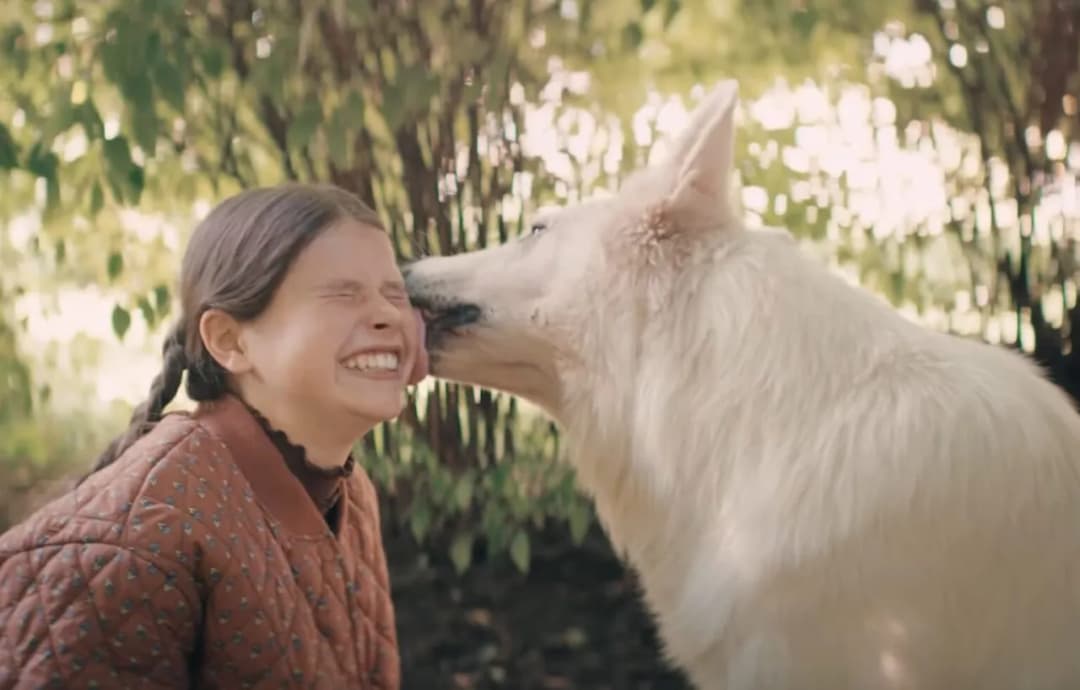 Film o psie który jeździł koleją dla dzieci – wzruszająca historia przyjaźni