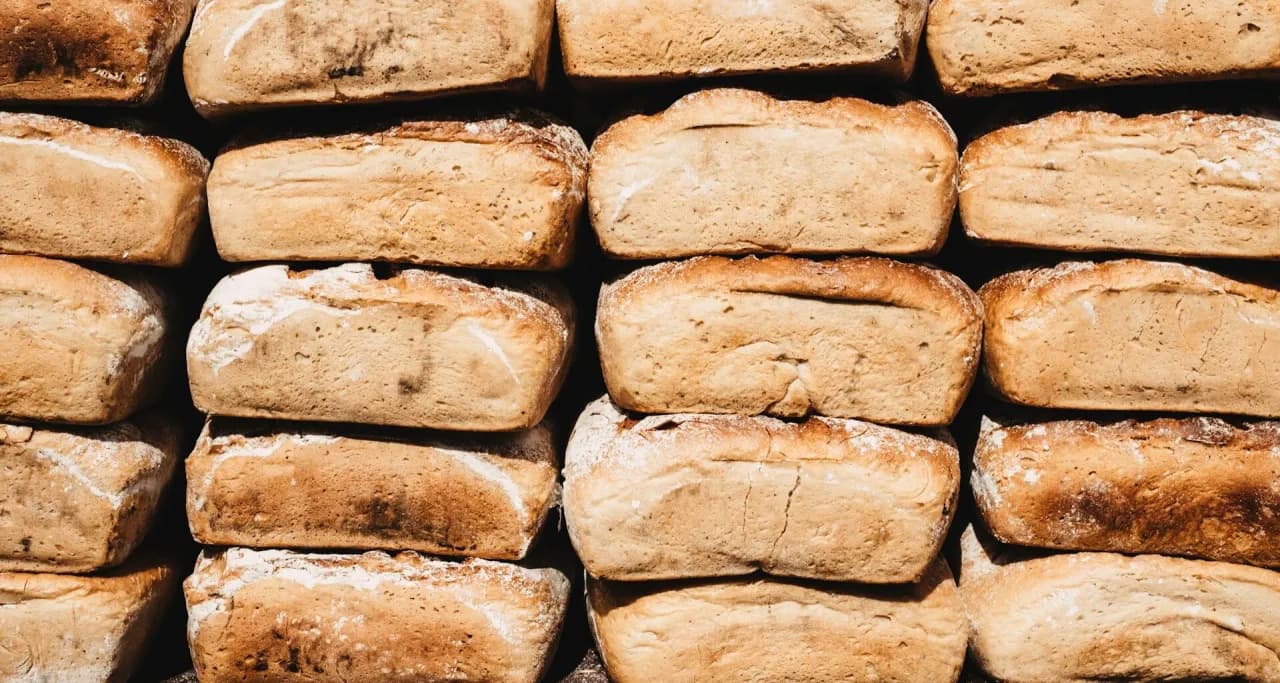 Chleb dla psa: tak czy nie? Poznaj zasady i uniknij zagrożeń