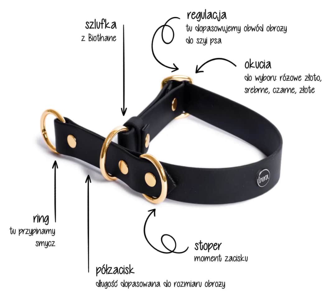 Jak uszyć obrożę dla psa? Stwórz bezpieczną i unikalną!