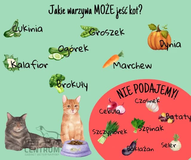 Owoce dla kota: Co bezpieczne, a co śmiertelnie groźne?