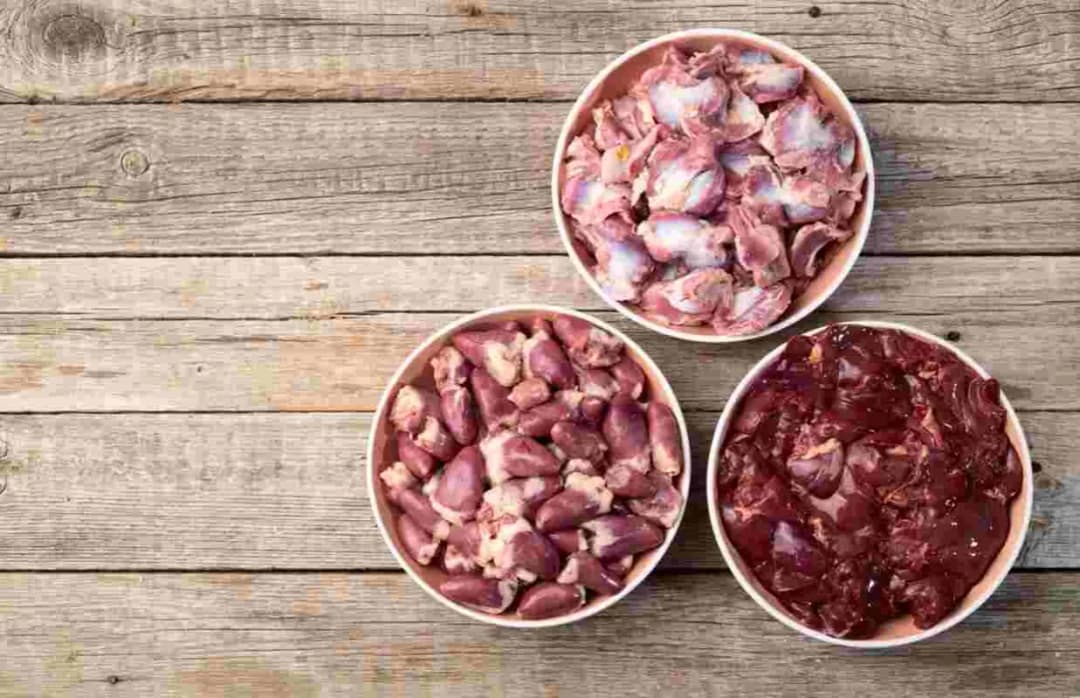Podroby dla psa: superfoods czy zagrożenie? Dawkowanie i zakazy