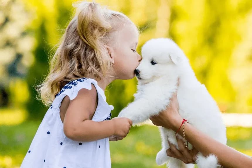 Jakie psy dla dzieci? Wybierz mądrze: rasy i porady eksperta.