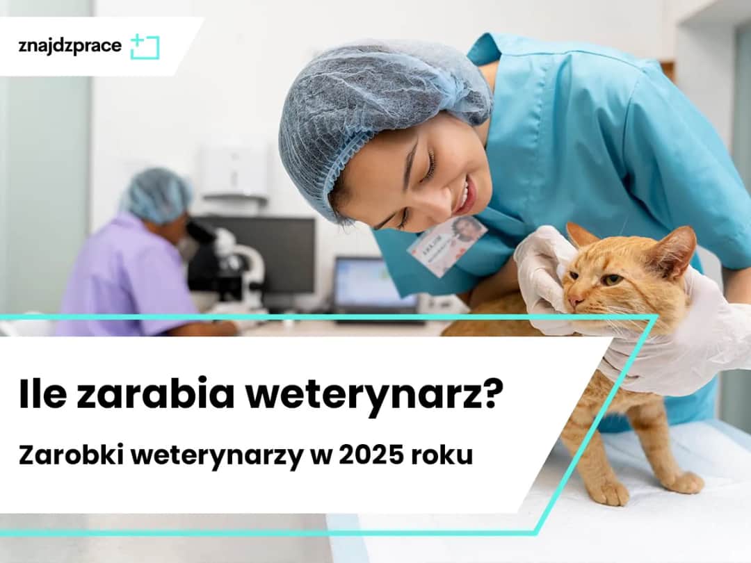 Weterynarz zarobki: 7540 zł brutto? Poznaj realne kwoty!