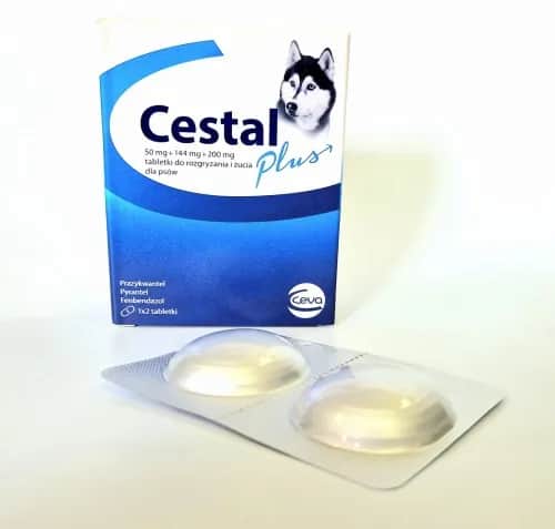 Odrobaczanie psa: Co 3-6 miesięcy? Pełny przewodnik dla właściciela