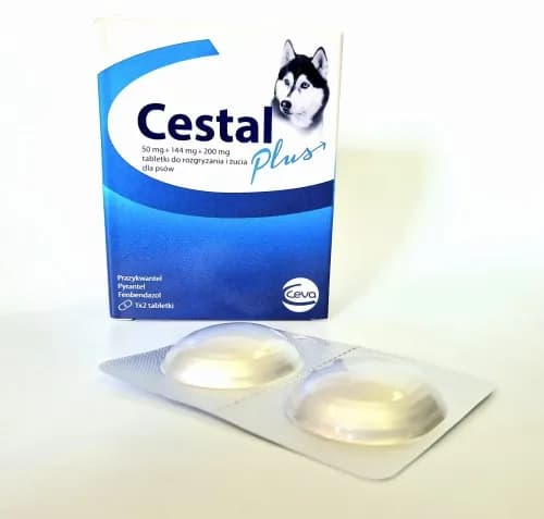 Odrobaczanie psa: Co 3-6 miesięcy? Pełny przewodnik dla właściciela