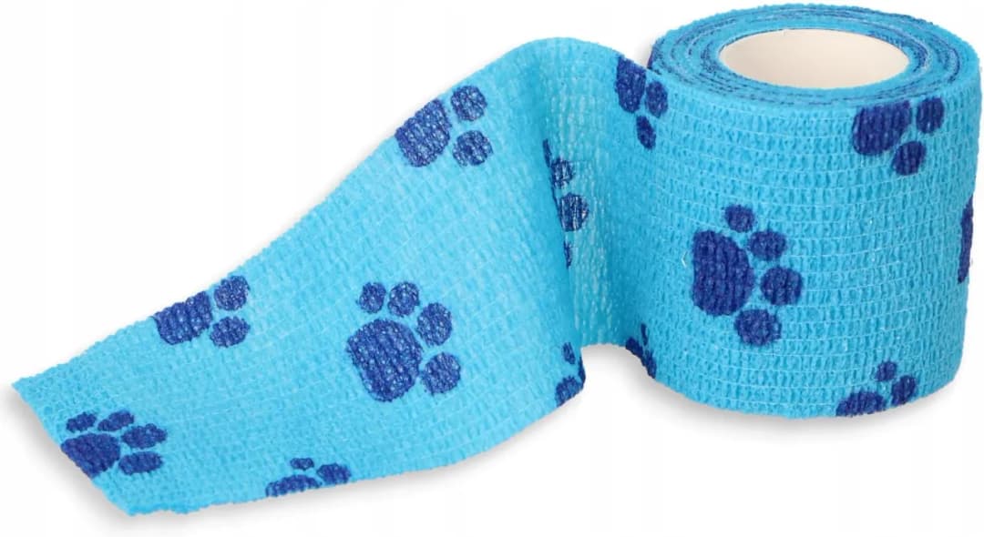 Bandaż dla psa: Gdzie kupić, jaki wybrać i jak założyć?