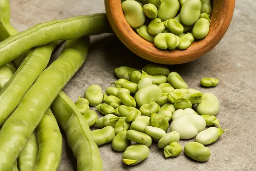 Bób dla kota? Sprawdź, kiedy jest bezpieczny, a kiedy toksyczny!