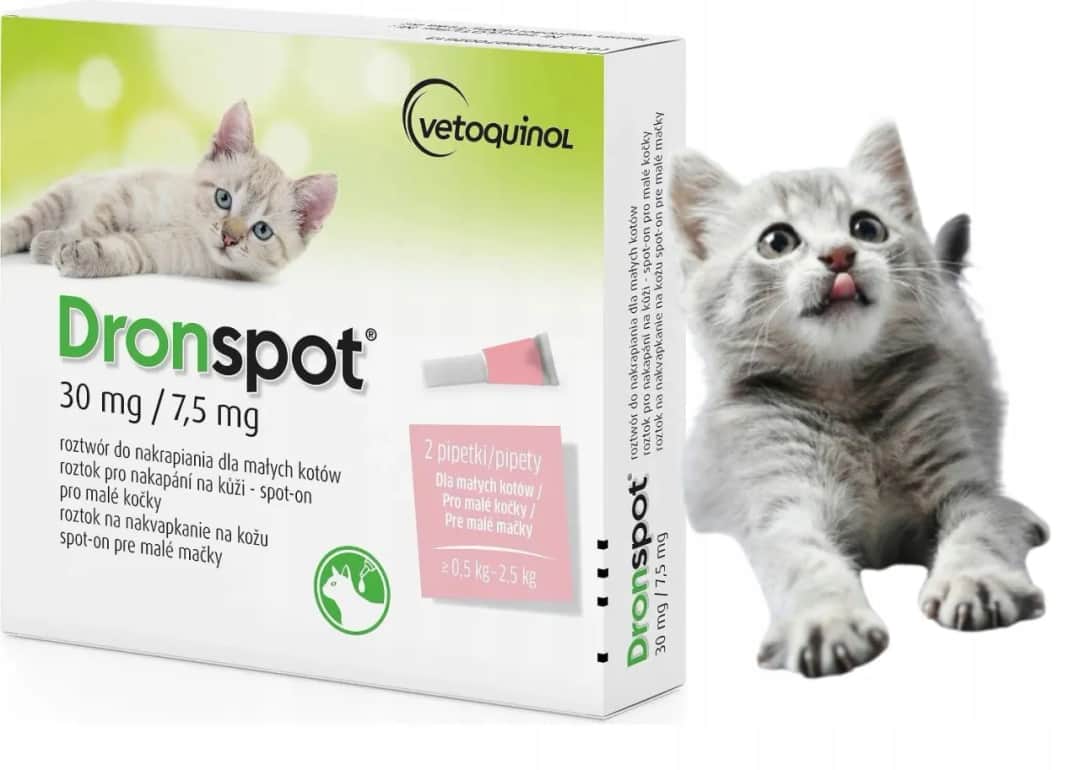 Odrobaczanie kota: Kompletny kalendarz dla zdrowego mruczka