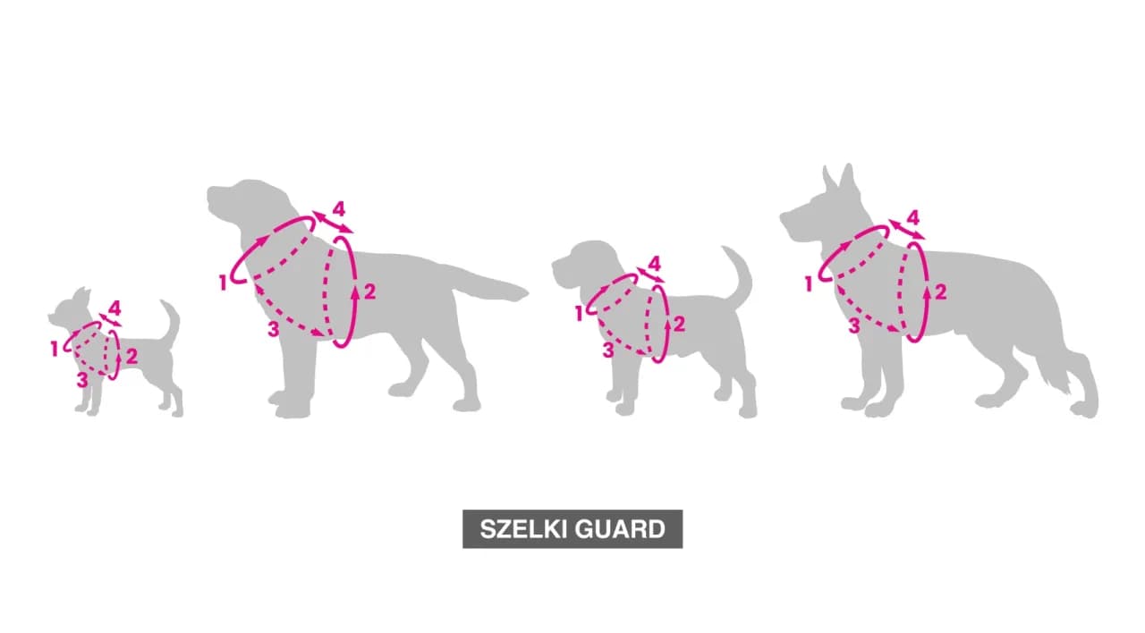 Szelki dla psa: Jak założyć, by były wygodne i bezpieczne?