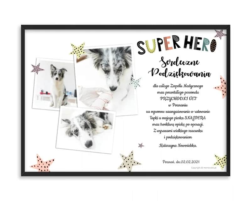 Podziękowanie dla weterynarza: Gotowe wzory i 4 kroki do wzruszenia