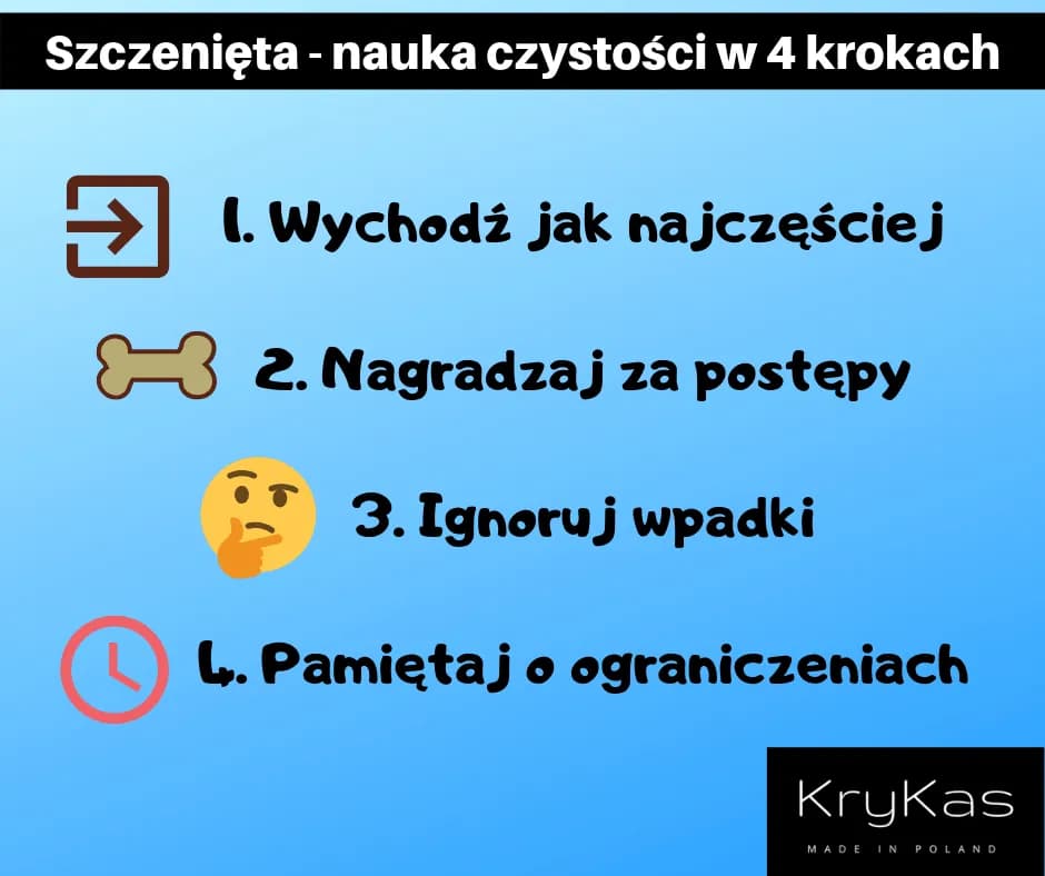 Nauka czystości szczeniaka: Poznaj plan na dom bez wpadek!
