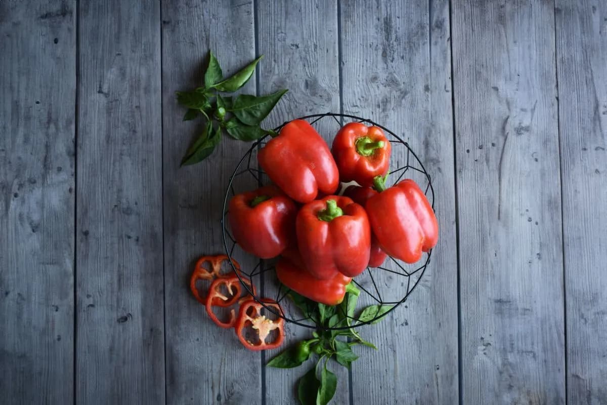 Papryka dla kota: Słodka tak, ostra nigdy! Co musisz wiedzieć?