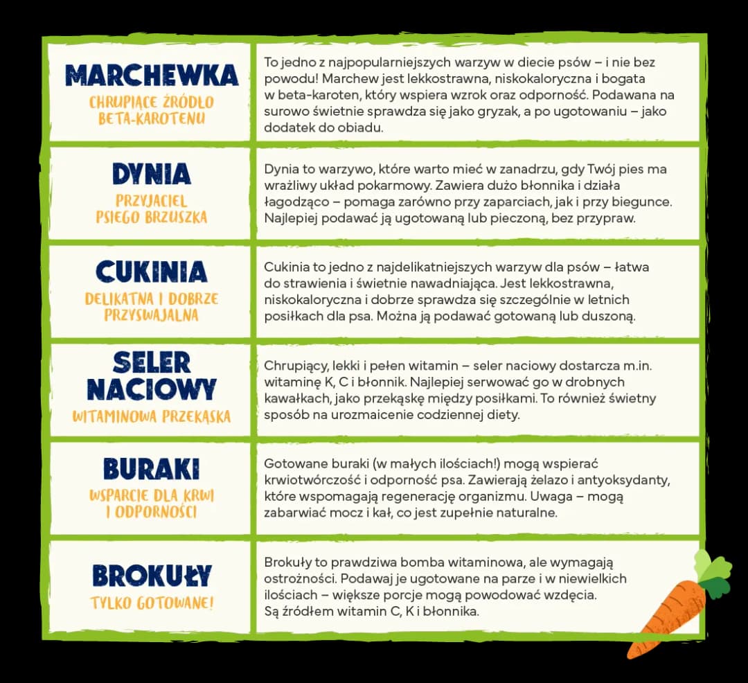 Jakie warzywa dla psa? Sprawdź, co podawać, a czego unikać