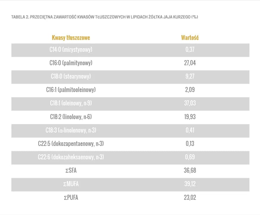 Surowe jajko dla szczeniaka: Wartości czy ryzyko? Decyduj świadomie