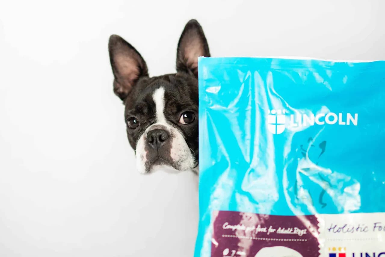 Jak podać psu tabletkę na odrobaczanie? Skuteczne metody bez stresu