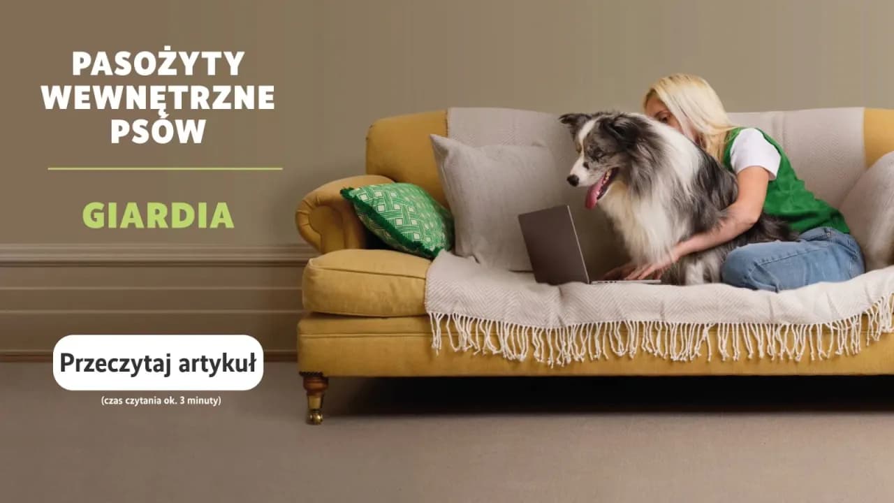 Co na odrobaczanie psa i kota? Wiem, jak ochronić pupila!